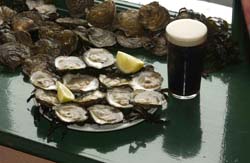 Native Oysters and Pint